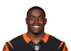 Bronson Hill