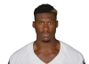 David Irving